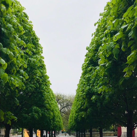 Meet your Posher, Ava - Picture 2 of 8